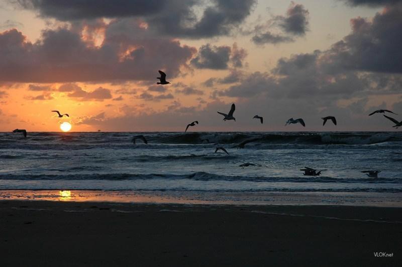 Hotel Noordzee Katwijk aan Zee Ngoại thất bức ảnh