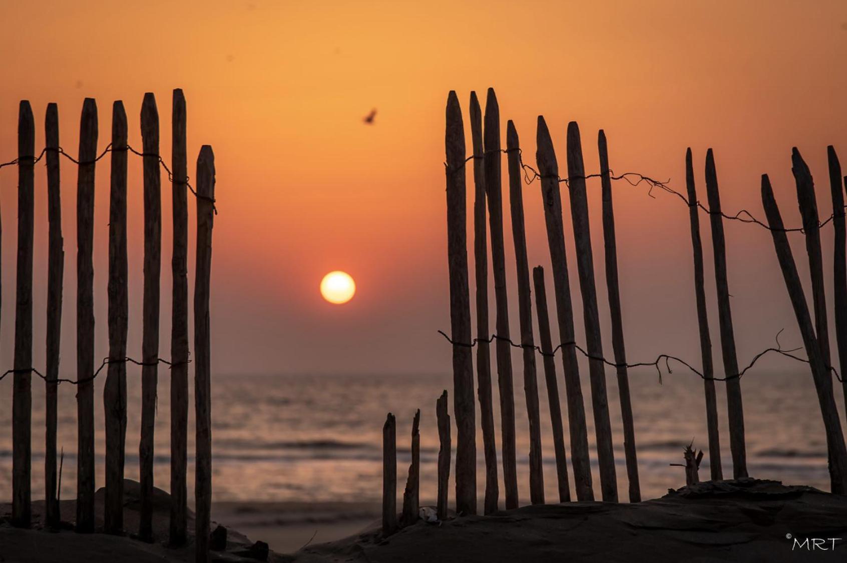 Hotel Noordzee Katwijk aan Zee Ngoại thất bức ảnh