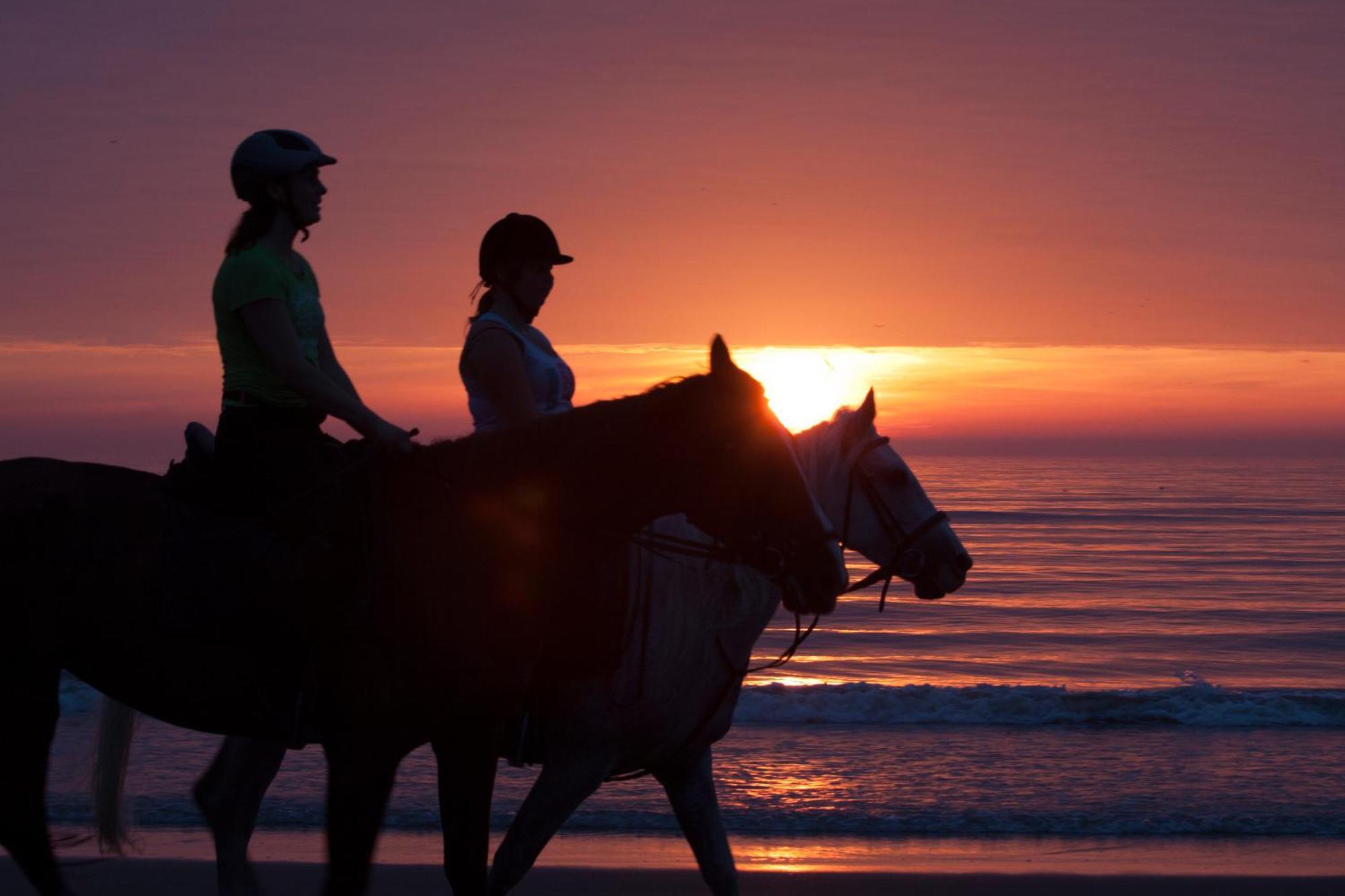 Hotel Noordzee Katwijk aan Zee Ngoại thất bức ảnh